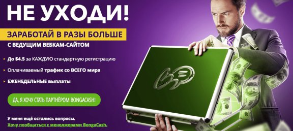 Earnings up to 4.5 dollars per registration